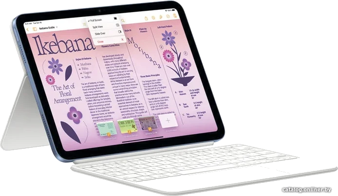 Apple iPad 10.9" 2022